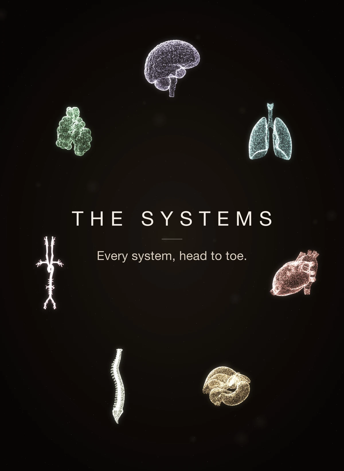 The Systems. Every system, head to toe.